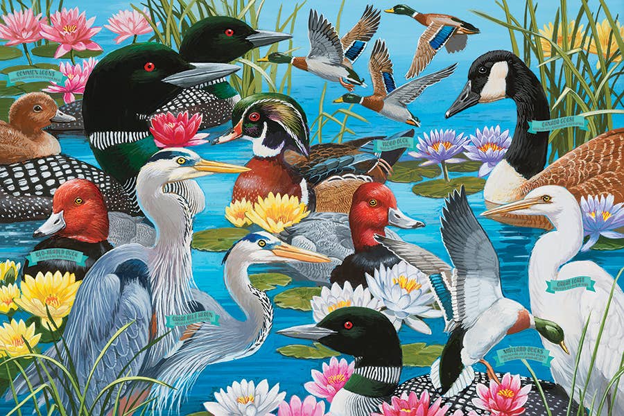 Water Birds 36 Piece Cobble Hill Floor Puzzle