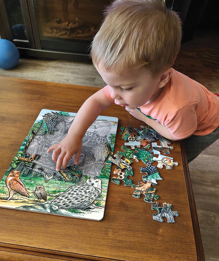 North American Owls (tray) 35pc puzzle