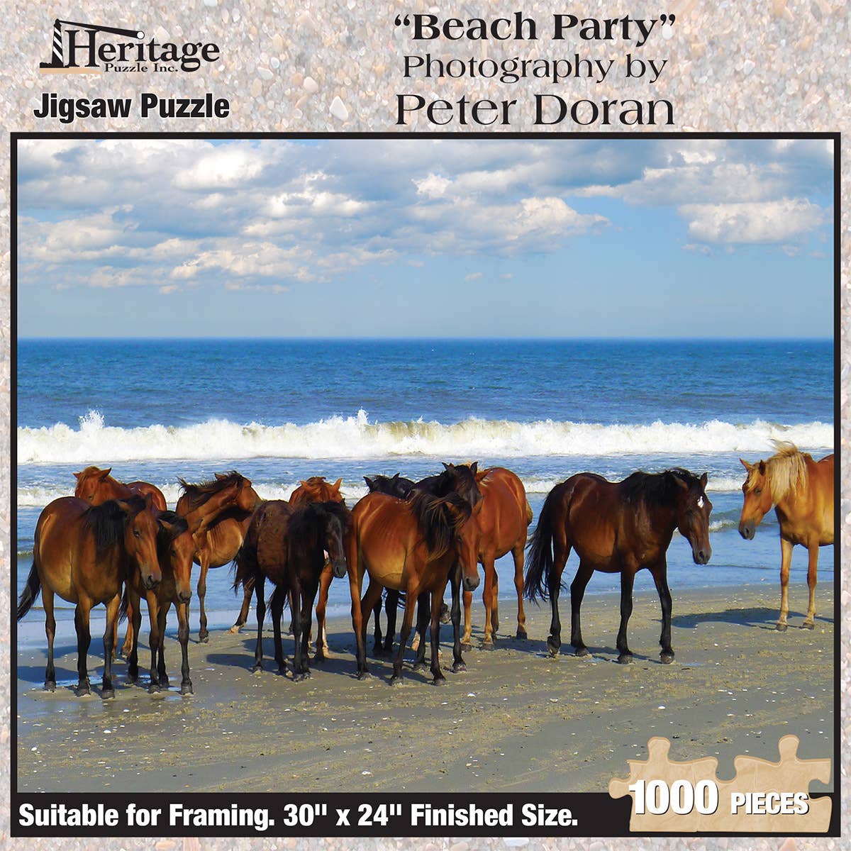 Beach Party 1000 Piece Puzzle