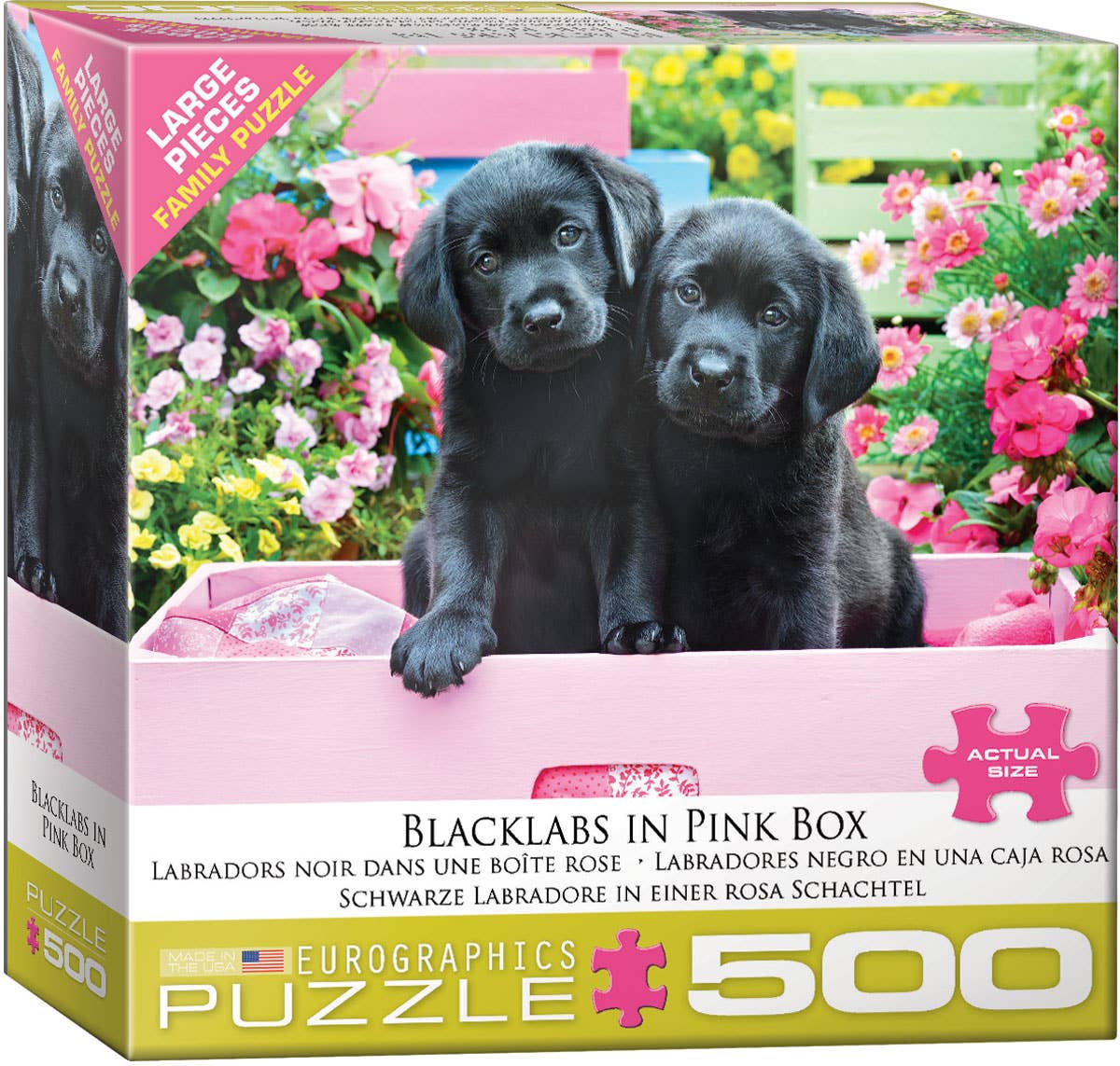 Black Labs in a Pink Box