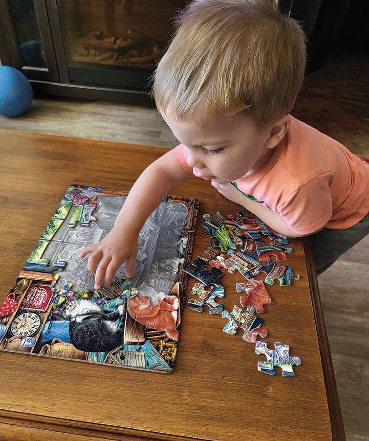 Garden Shed Cats (tray) 35-Piece Cobble Hill Puzzle
