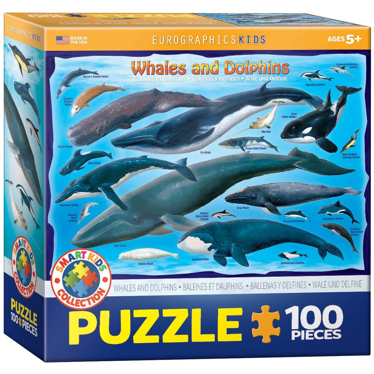 Whales and Dolphins