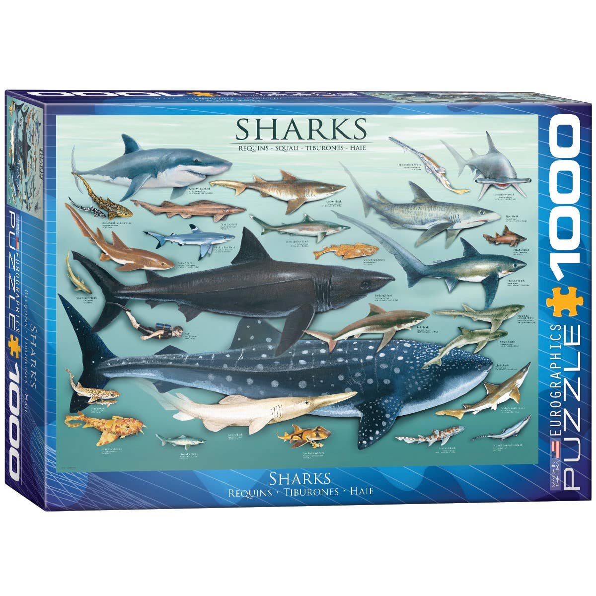 Sharks