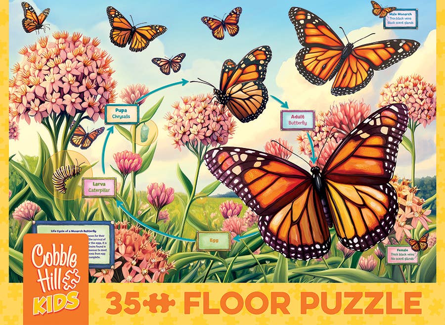 Life Cycle of a Monarch (35-Piece) Cobble Hill Floor Puzzle