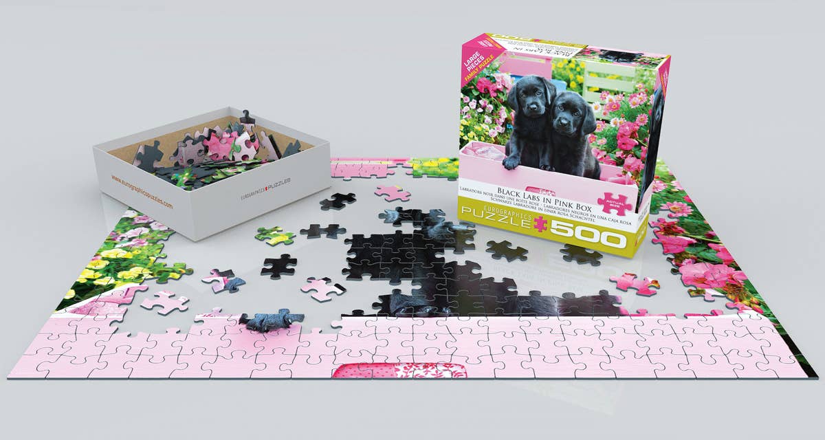 Black Labs in a Pink Box