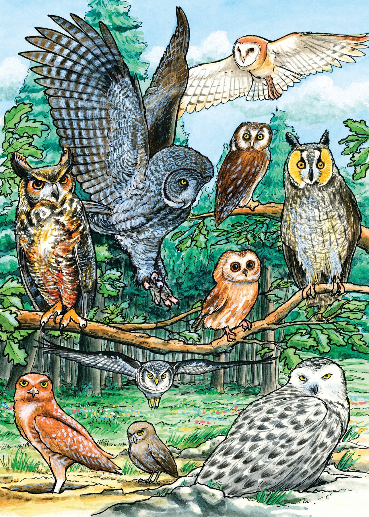 North American Owls (tray) 35pc puzzle
