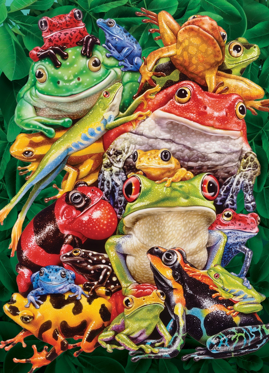 Frog Business 1000 Pieces