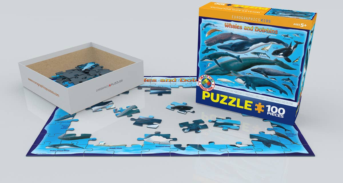 Whales and Dolphins