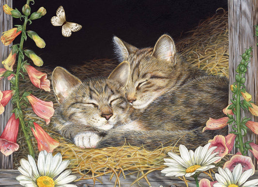 Morning Snooze (tray) 35-Piece Cobble Hill Puzzle