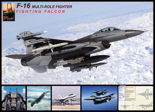 F-16 Falcon