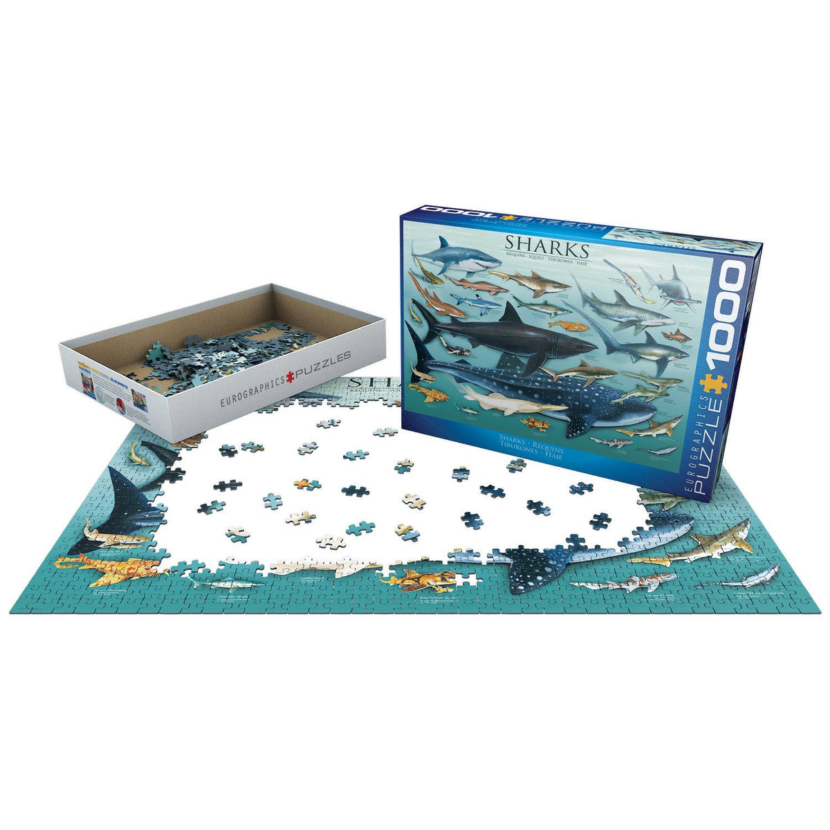 Sharks